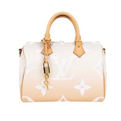 路易威登 LOUIS VUITTON Speedy Bandouliere 25 手提包 肩背包 M45722 晶片款  鎖組/背帶