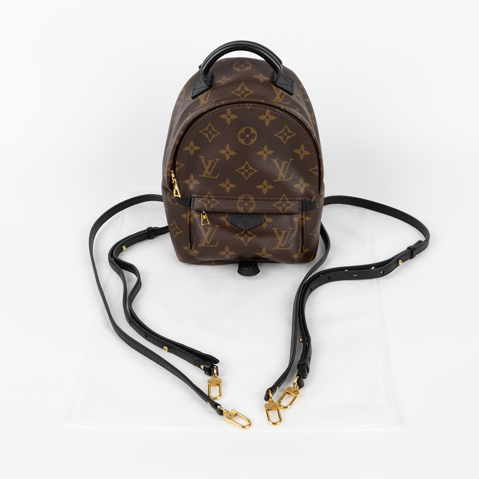 路易威登 LOUIS VUITTON Palm Springs Monogram帆布 Mini 拉鍊 後背包 M41562  背帶