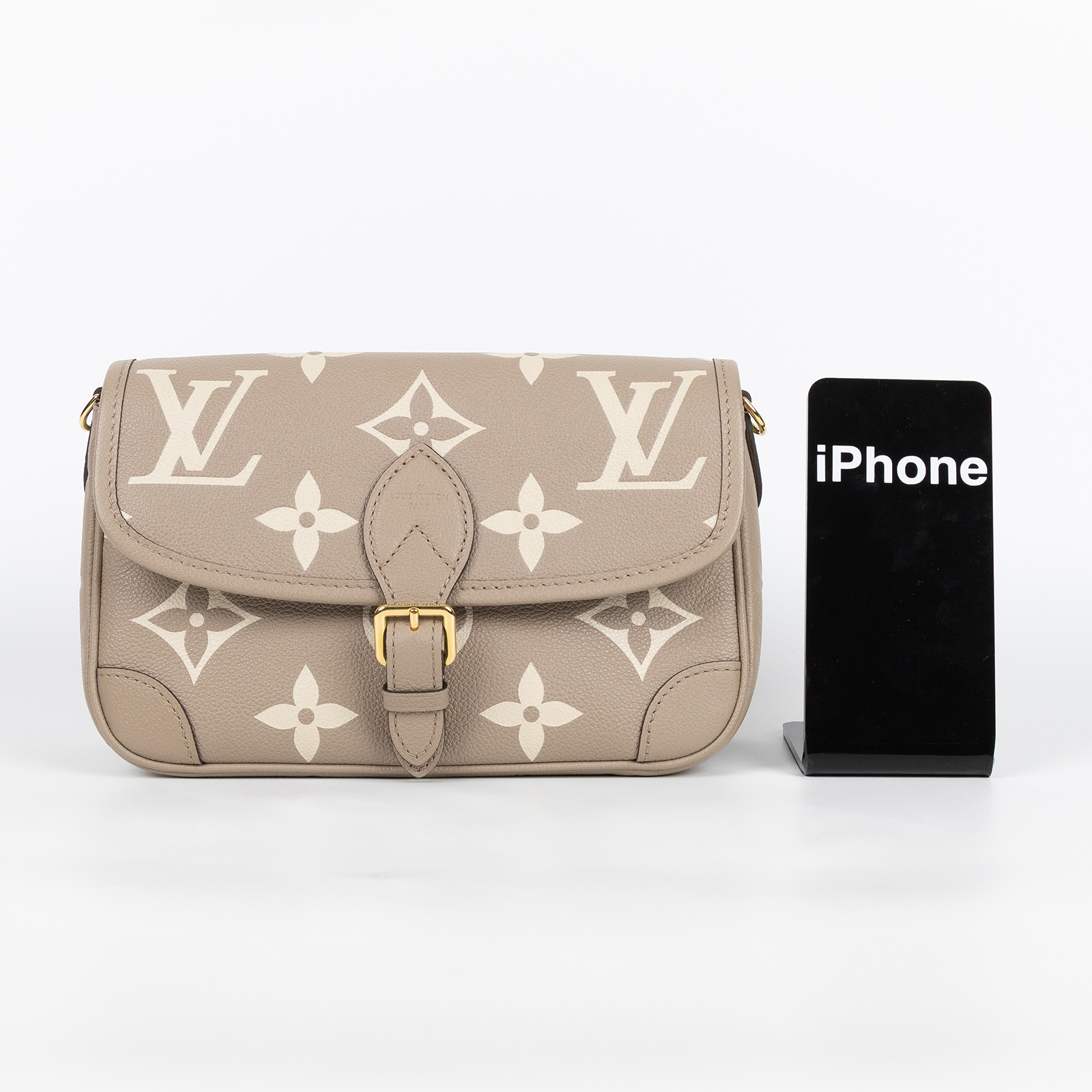 路易威登 LOUIS VUITTON Diane 腋下包法棍 單肩背包 斑鳩灰 奶油色 M46583 晶片款 斑鳩灰DIANE 防塵袋/背帶2