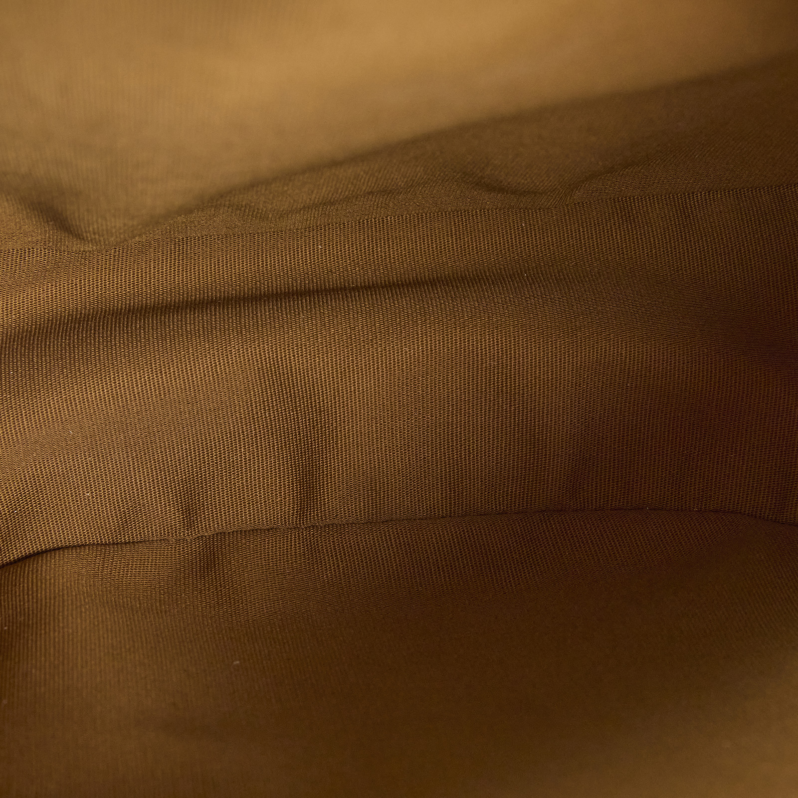 思琳 CELINE Heloise 標誌印花 牛皮革 肩背 手提包 114712FQM 棕老花Heloise HOBO 防塵袋