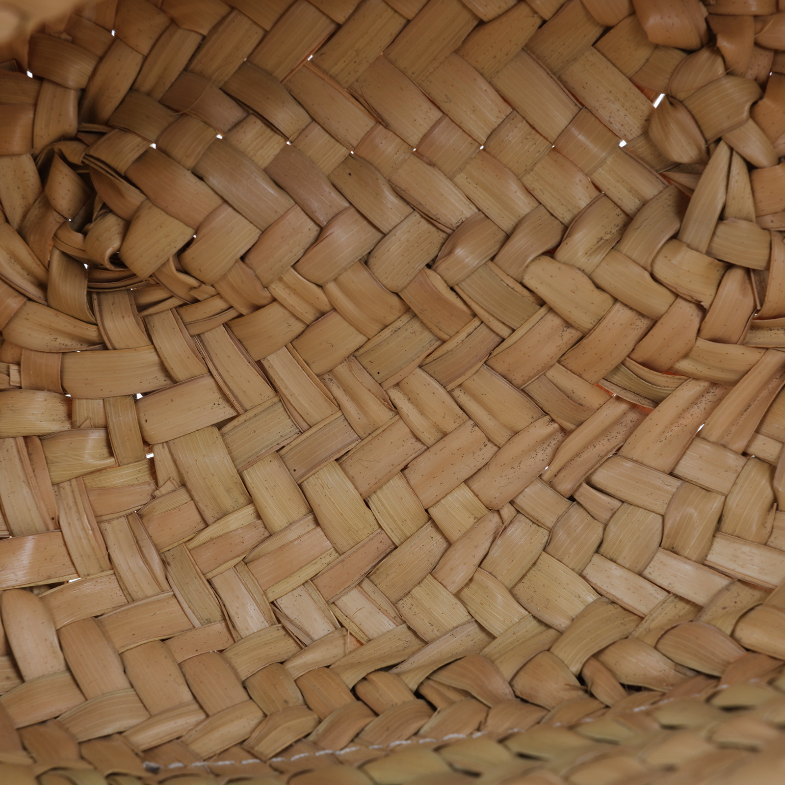 羅意威 LOEWE 棕櫚葉 手提 編織包 小型 A223S93X04 草編包 防塵袋