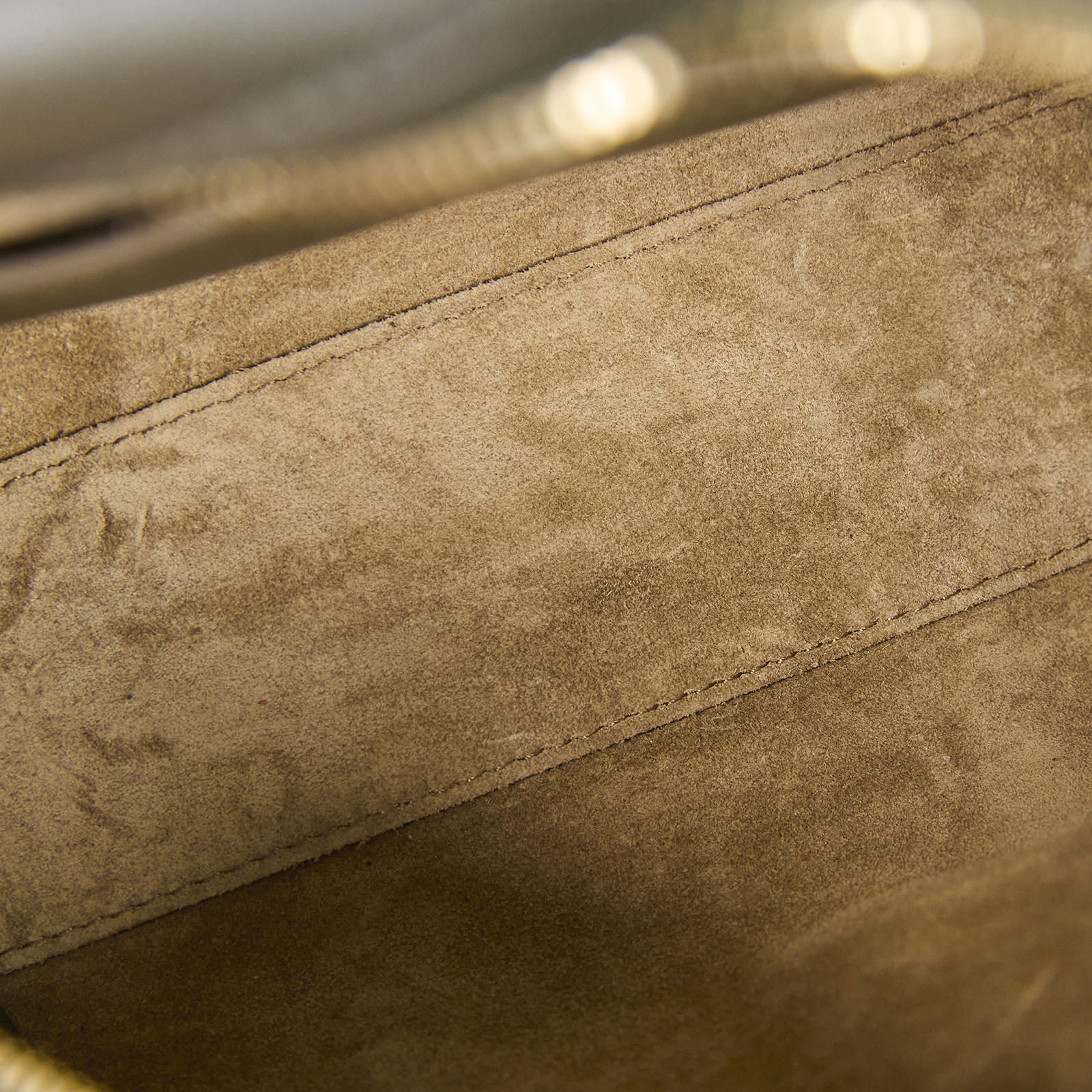 羅意威 LOEWE Amazona 16 bag 肩背 手提包 A039N21X01  綠金AMAZONA16 防塵袋/鎖組