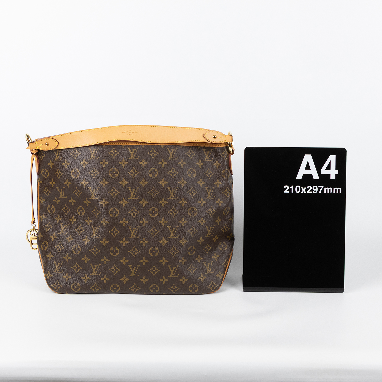 路易威登 LOUIS VUITTON Delightful MM 經典帆布 肩背包 M40353 原花DELIGHTFUL MM 防塵袋